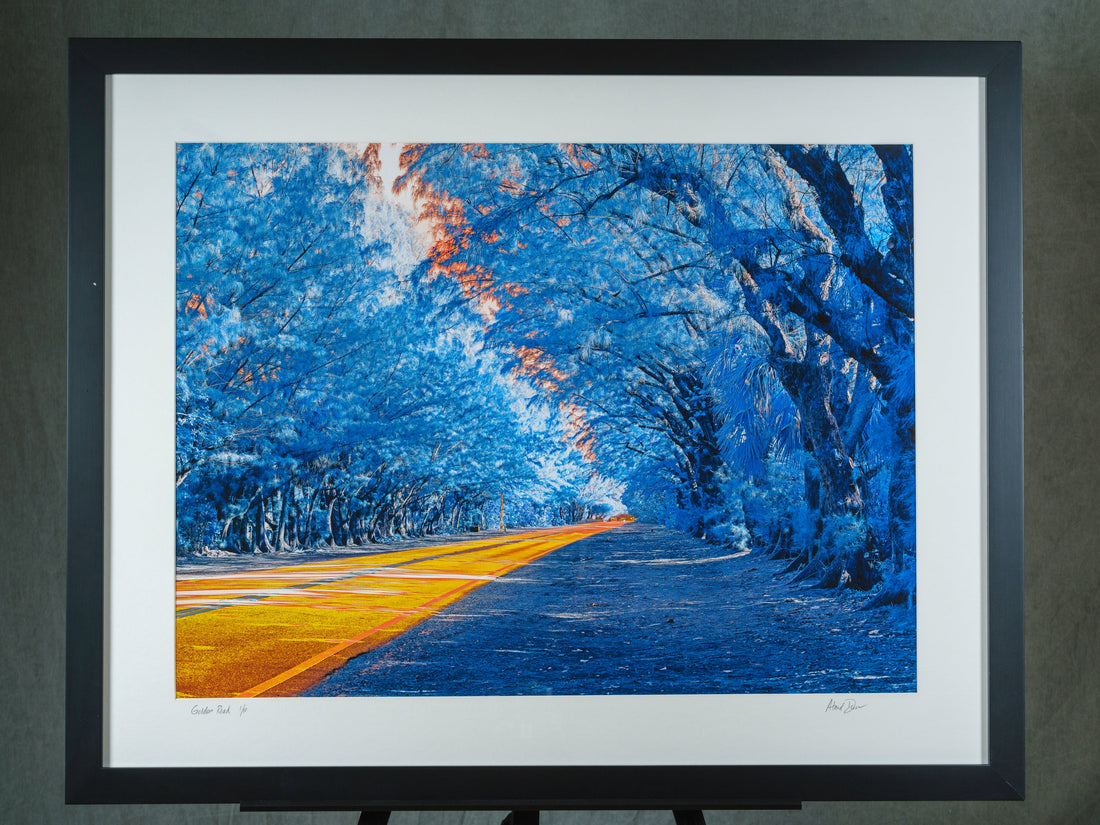 Curated Photographs Feel More Personal