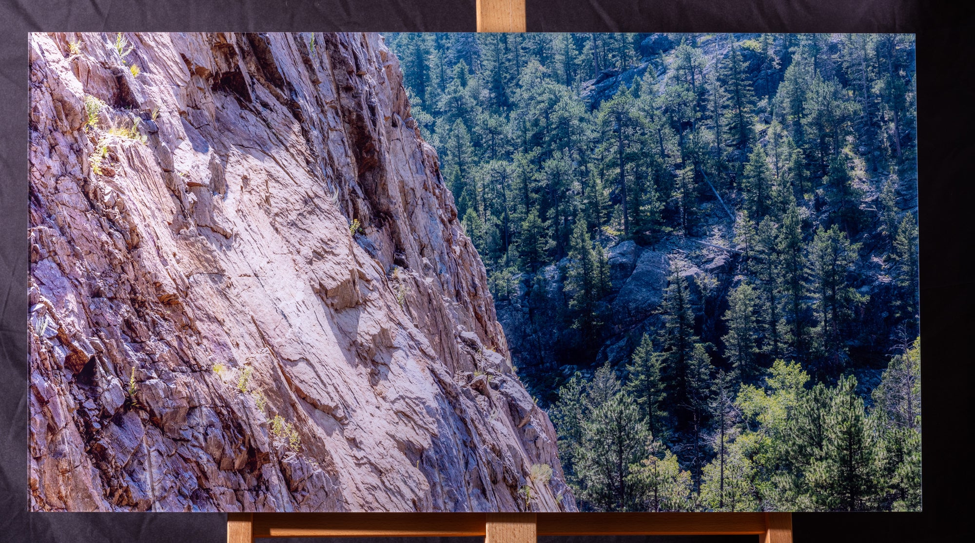 Bird's Eye, Boulder Canyon